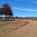 구미파크골프장 이미지