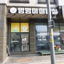 멍냥이네 가위컷 이미지