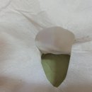 이수시원한의원 이미지