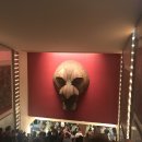 로터리성인PC(인-447) | 뉴욕 여행 브로드웨이 뮤지컬 라이언킹 알라딘 위키드 겨울왕국 티켓 가격과 후기