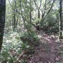 덕산카정비 Daum카페