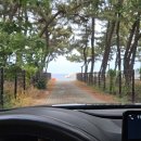 맹방해변 | 국내 최대 규모! 맹방해변 해안침식 저감시설 공사 현장 후기 🌊🚧