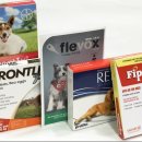 종선농장 이미지