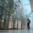 청죽교회 이미지