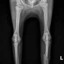 하남동물병원 이미지