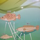 부천자연생태박물관 이미지