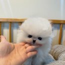 연제구-045 이미지