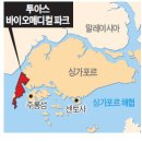 글로벌허브투 이미지