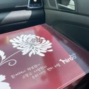 아이드림펫 | 김포 반려동물 장례식장 아이드림펫