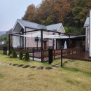 햅독 | 춘천독채펜션 햅독 | 역대급 애견펜션 100평 앞마당 대형견가능