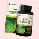 참다움 쇼핑하우