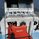 [태안여행/안면도낚시] - 매일좌대낚시 (구매항좌대낚시 추천!)