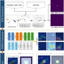 [2025 DAILY PICK 제198호] ‘AI로 해상 충돌 예측 성공’ 등 이미지