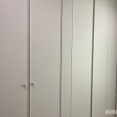 디솔루션