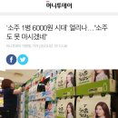 '소주 1병 6000원 시대' 열리나…" 이미지