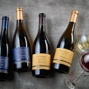 리버벨리 이미지