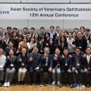 박영우안과동물병원 이미지
