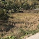 대가야 태양광발전소 이미지