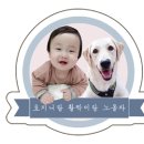 삼성주니어치과 이미지