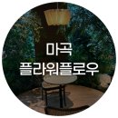 마곡 대형 카페 플라워플로우 후기 식물원, 숲속에 온듯한 힐링 공간