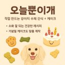 오늘뿐이개 이미지