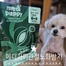 우리메디 | 메디퍼피 관절 노화 방지 근육 튼튼 건사료, 구름이가 코박고 먹어본 후기