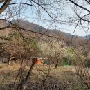 예봉산미소