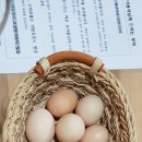 차우민박 네이버블로그