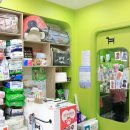 쿨독동물병원 이미지