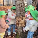 자연과동화어린이집 이미지