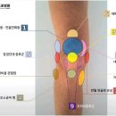 강남베드로병원 - 636 | 강남베드로병원