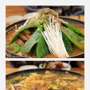 국생돈 티스토리