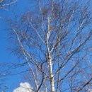 선기농장 이미지