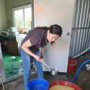 정복순농장 | 한국방송통신대학교 안동시학생회 하계수련대회