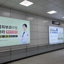 조명디앤피