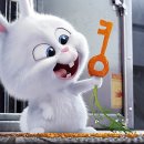 마이펫의 이중생활 이미지