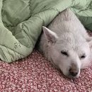 더 개편한세상 이미지