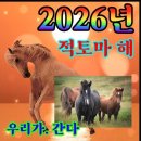 그린해수탕 | 2026년 1월 일상
