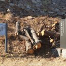 서생포왜성주차장 이미지