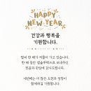 드림솔루텍