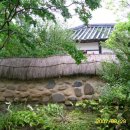 담장너머 이미지