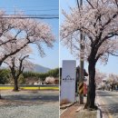 포석정한옥팬션