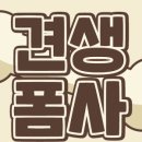 견생폼사 이미지