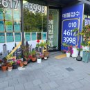 에이원부동산공인중개사사무소 이미지