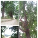 길목농장 이미지