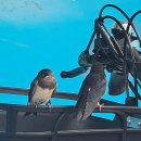 더리터 봉동터미널점 이미지