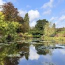 모네의 정원 이미지