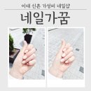 이대 신촌 네일 네일가꿈 깔끔 상큼 연노랑 젤네일 후기