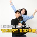 반려견 2호점 | 홍대 셀프사진관 애견동반 홍대 오디티모드 2호점 촬영후기