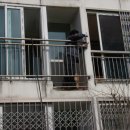 동산동-03 이미지